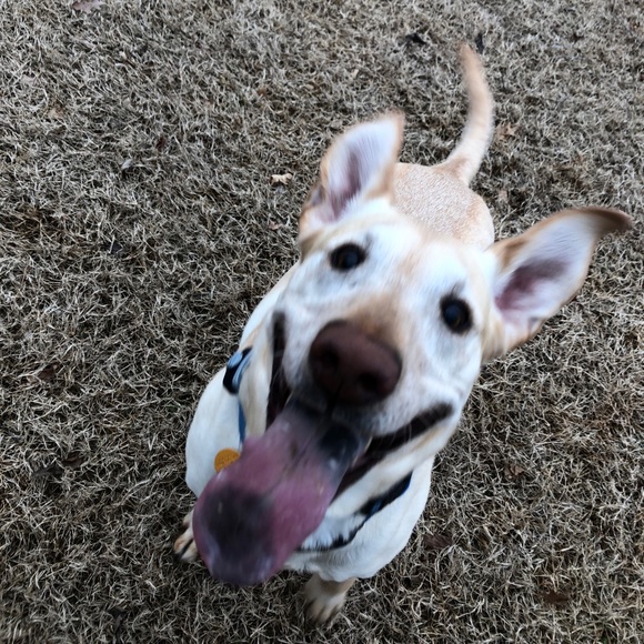 Meet your Posher, Hannah - Picture 1 of 1